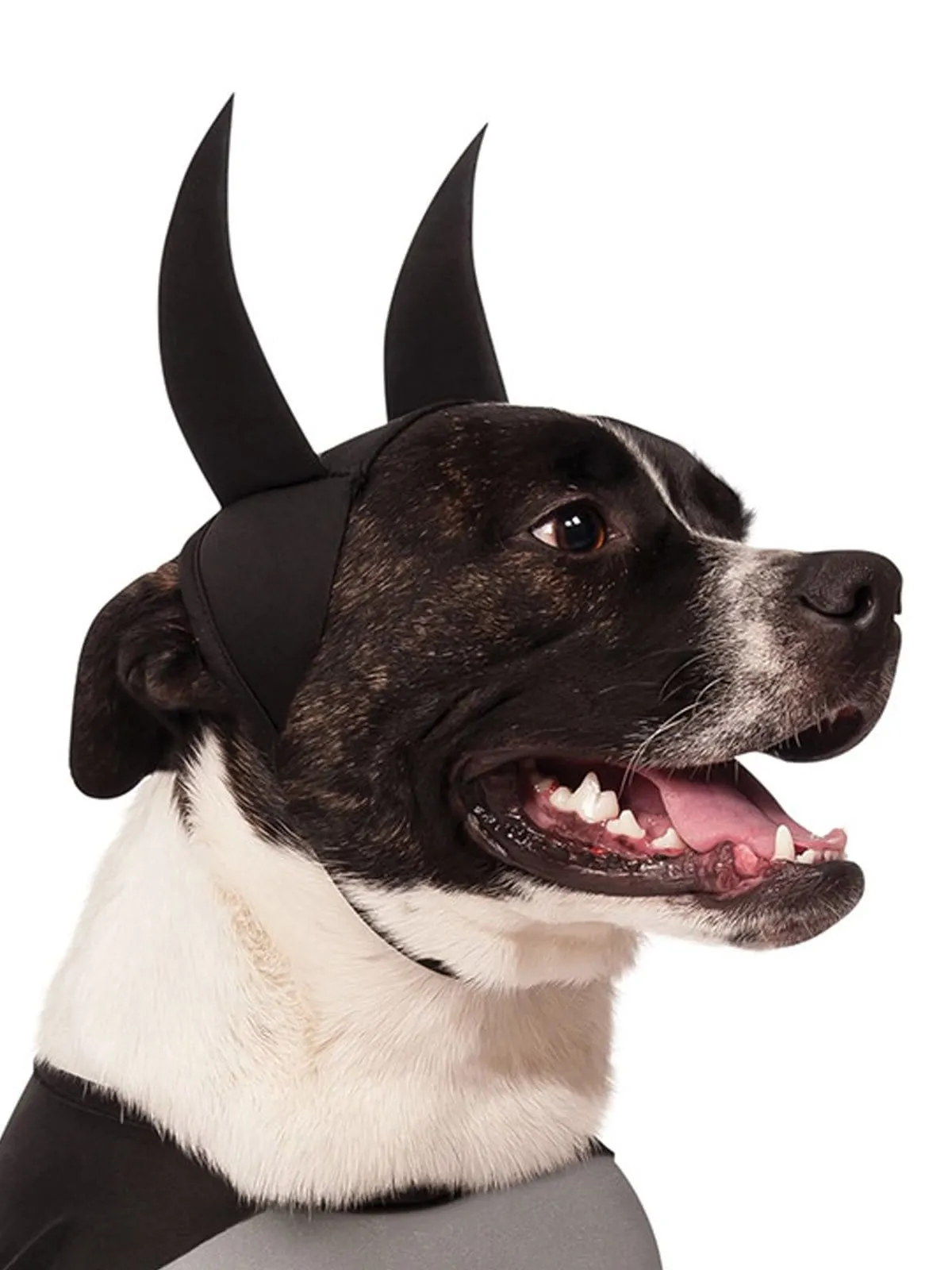 Batman Pet Dog Costume