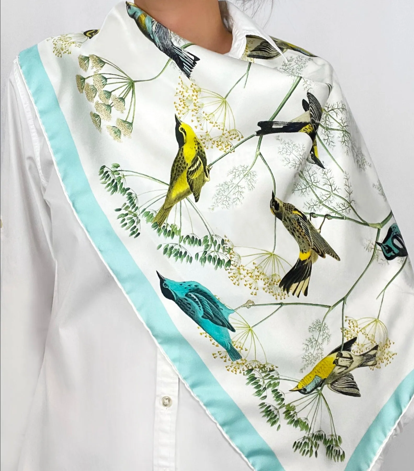 Elwyn New York Warbler's Paradise Scarf