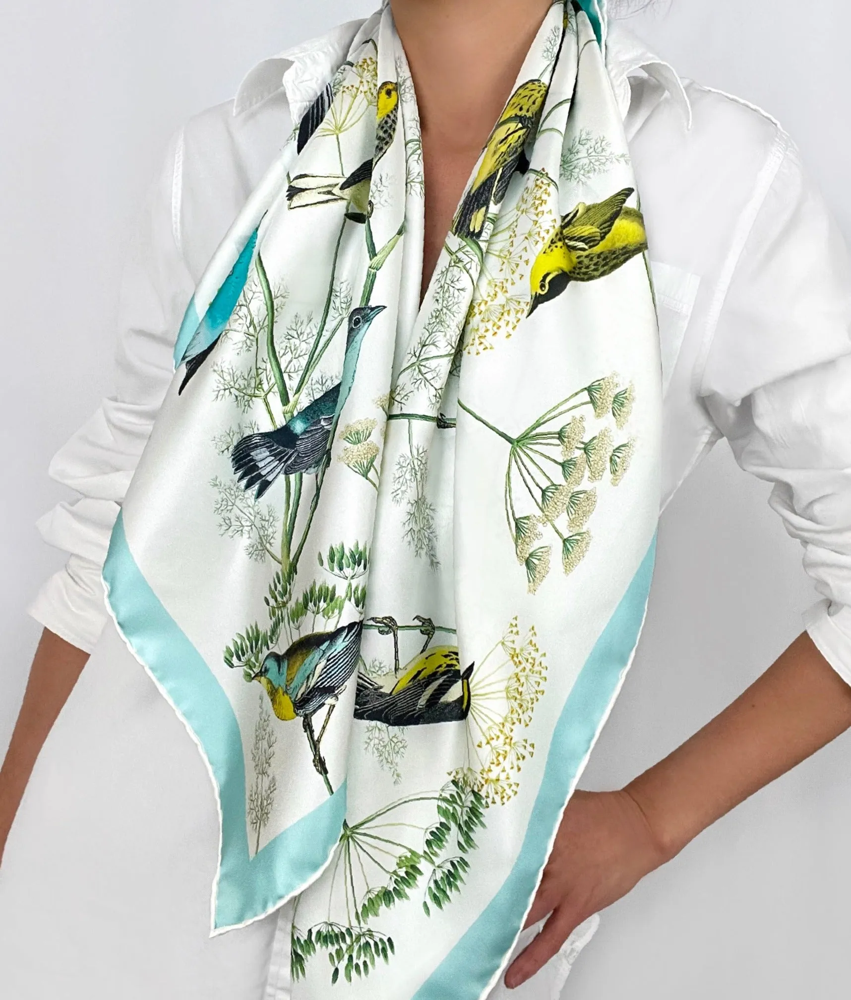 Elwyn New York Warbler's Paradise Scarf