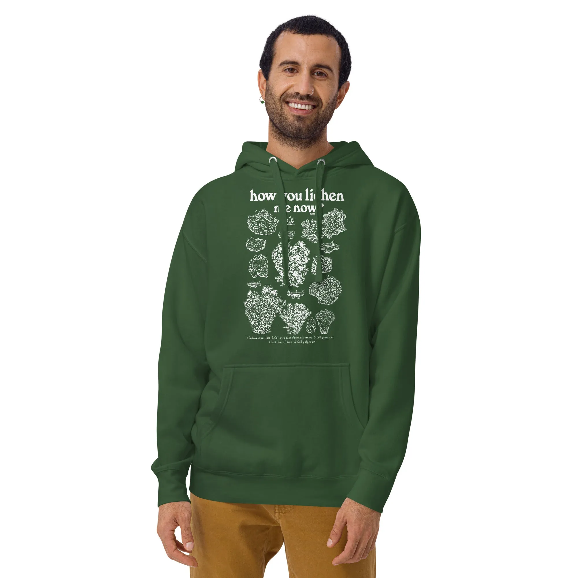 How You Lichen Me Now Classic Fleece Pullover Hoodie