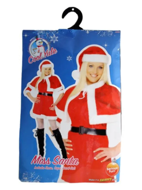 Miss Santa Costume