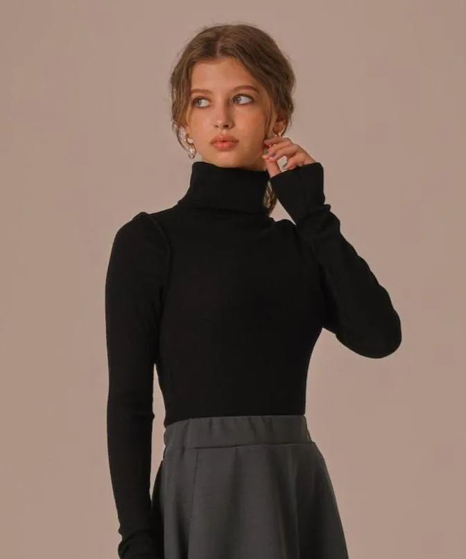 TURTLE NECK WOOL RIB KNIT TOPS